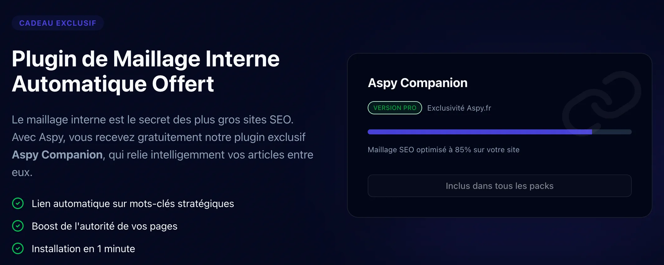 Avis Aspy.fr : L'IA qui clone votre style et remplace votre agence SEO 3 maillage interne aspy