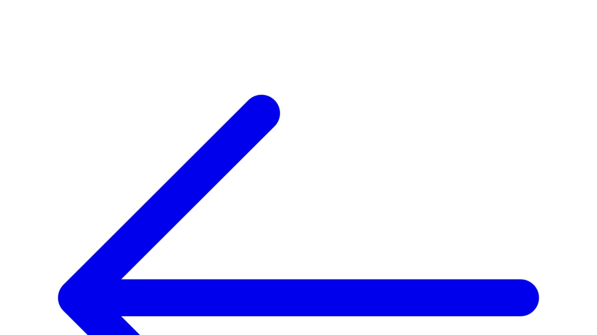 LinkQuiver : Avis complet, tarifs et code promo 2026 7 Tableau de bord LinkQuiver - Interface de connexion et pilotage